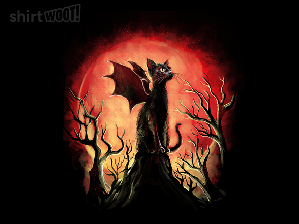 Dragon Cat