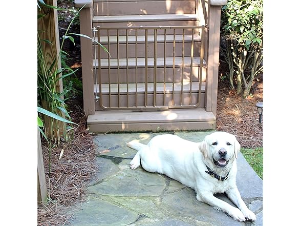 Cardinal Gates Outdoor Gate, White