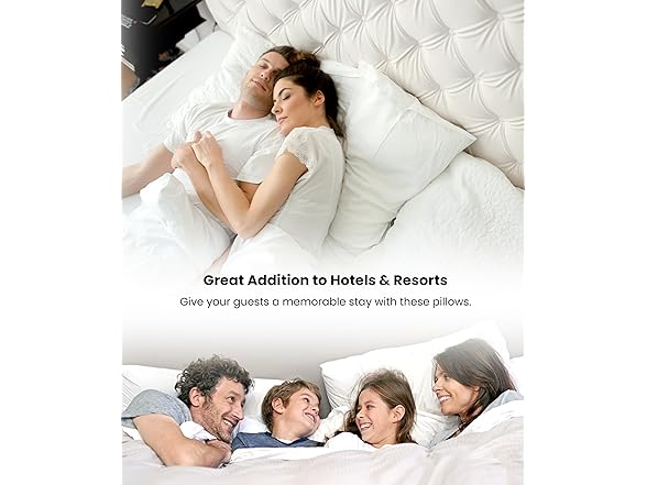 Standard Premium Pillows Set