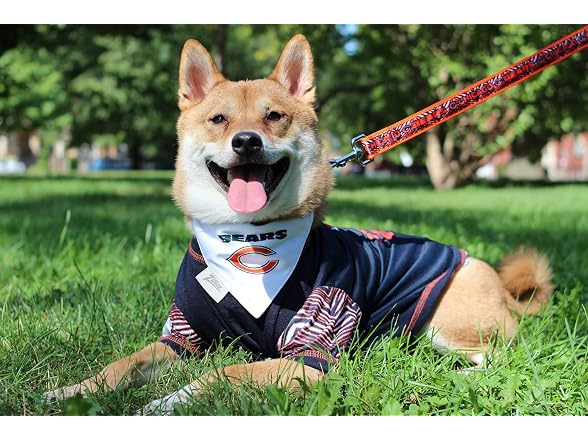 Zubaz NFL Team Reversible Pet Bandana fo Cat