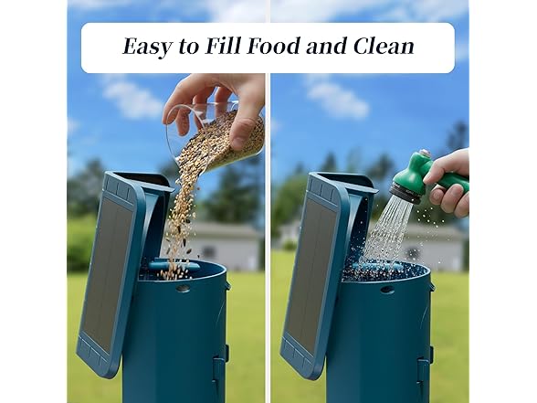 Bird Feeder with Camera