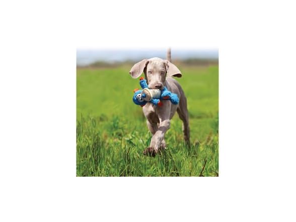 KONG - Cross Knots Pig - Internal Knotted Rop