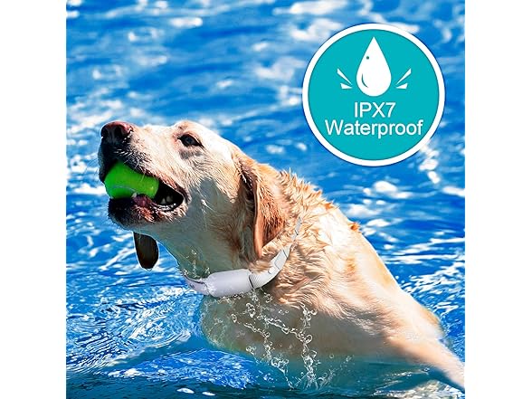 Bousnic Remote Dog Training Collar