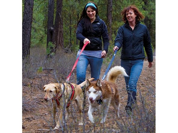 Adjustable Dog Harness, No-Pull D-Ring