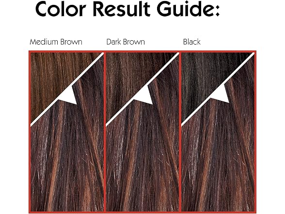 LOreal Paris Couleur Experte 2-Step Hom