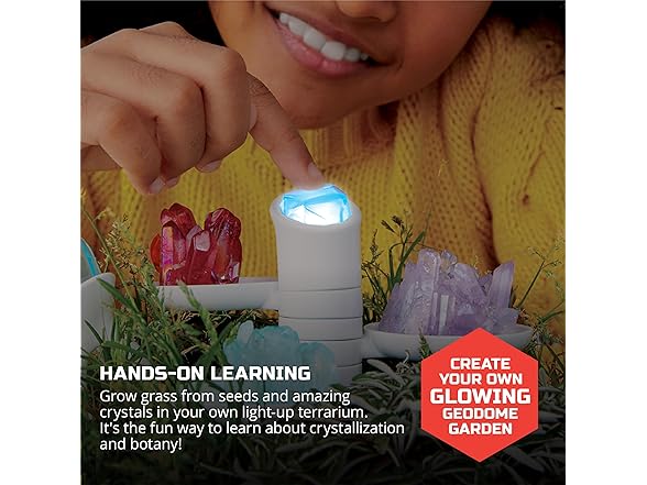 Discovery DIY Light-Up LED Terrarium