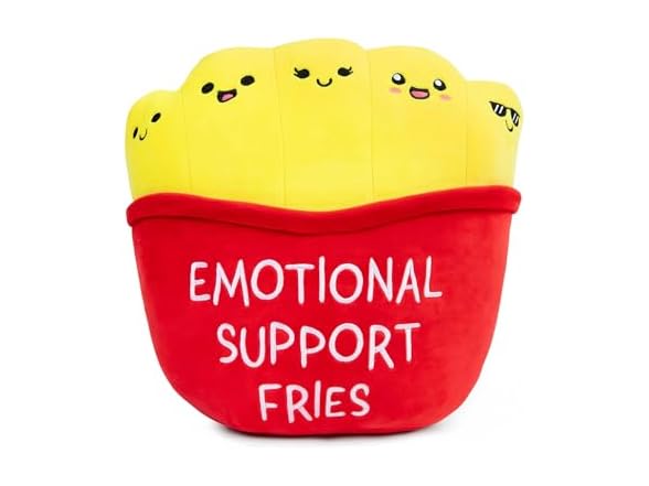 Emotional Support Mochi Fries