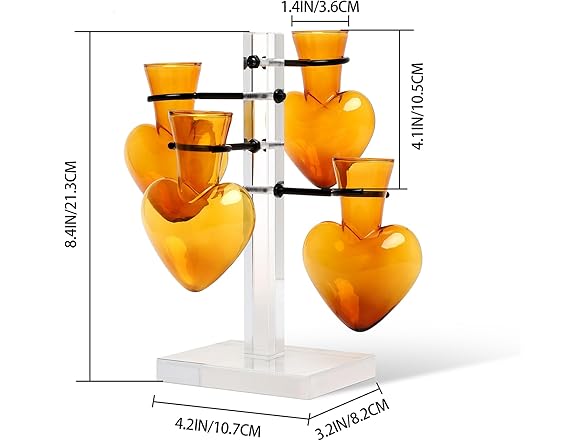 4 Love Heart Vase Plant Propagation