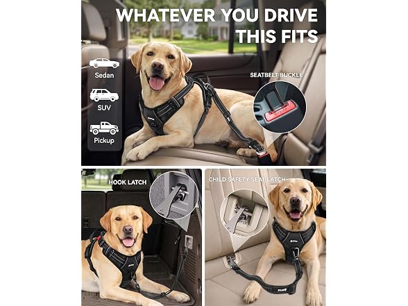 Joytale 3-in-1 Bungee Dog Seat Belt