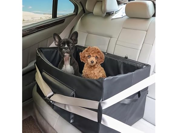 Dog Booster Seat for 2 Small/Medium Dogs