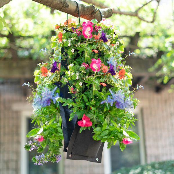 Pocket Hanging Flower Garden Seed Kit - Gallery 17
