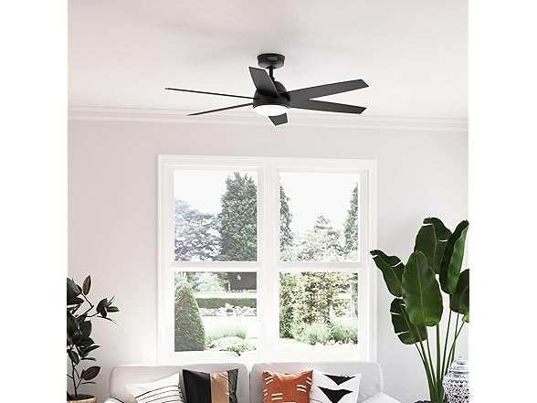 Hunter Fan 52 inch Black Indoor Ceiling Fan w/ Light