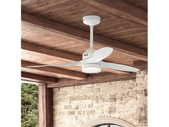 Hunter Fan 52 inch Ceiling Fan with Light