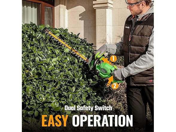 WORKPROX Cordless Hedge Trimmer Blue and Green