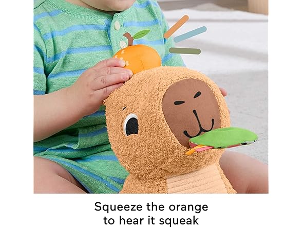 Fisher-Price Baby Sensory Toy Capybara