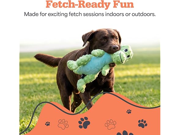 Bow Wow Pet 2 Pack Plush Dog Toy with Squeaker