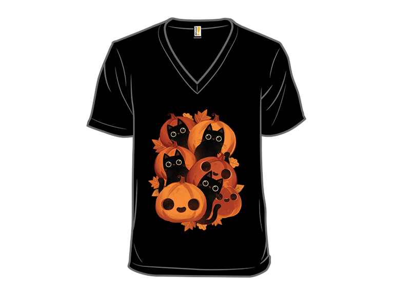 Pumpkins and Black Kitties!