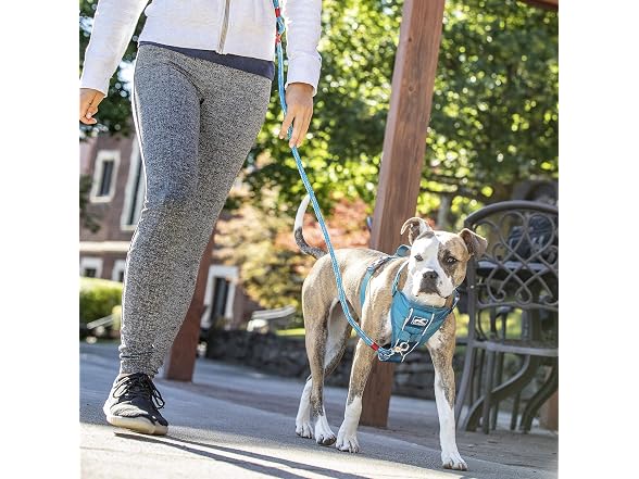 Kurgo Tru-Fit Smart Dog Walking Harness