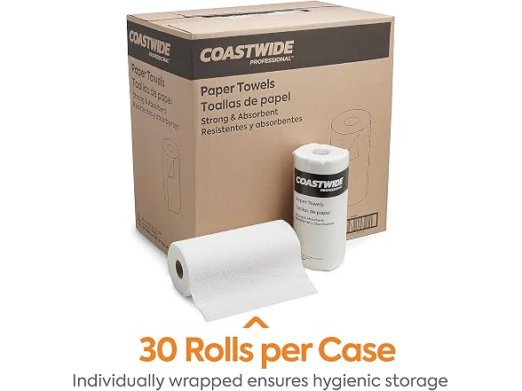 COASTWIDE Coastwide Professional Paper Towels,