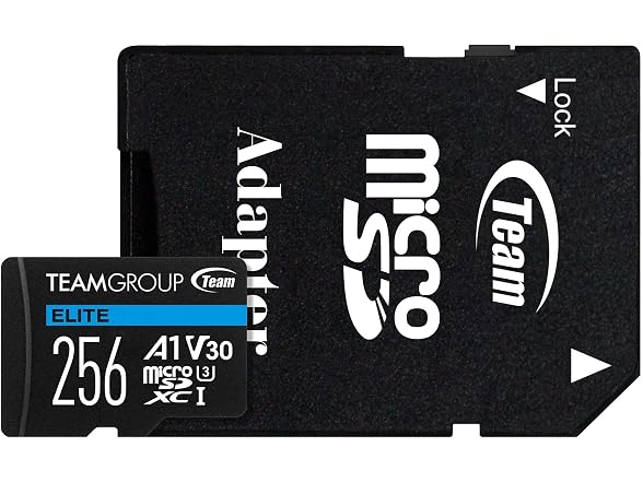 TEAMGROUP Elite A1 256GB Micro SDXC