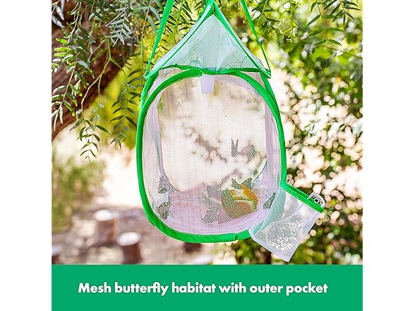 Educational Insights GeoSafari Jr. Butterfly Bungalow