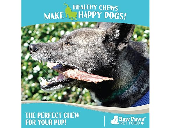 Beef Esophagus Strips for Dogs, 6-inch (20-Count)