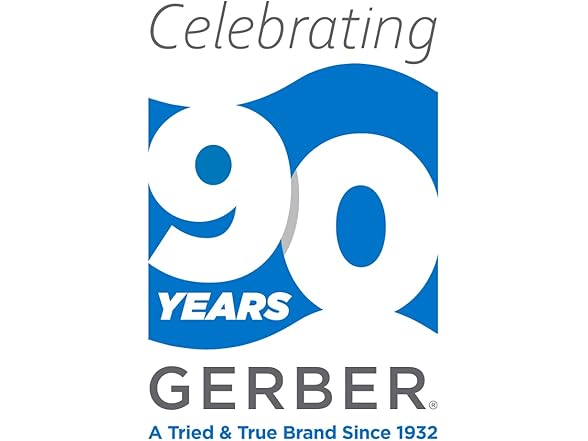 Gerber Avian Single Handle Bathroom Faucet wi