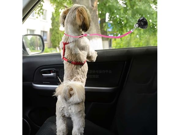 TaiyeHao 4 Pieces Dog Bathing Tether