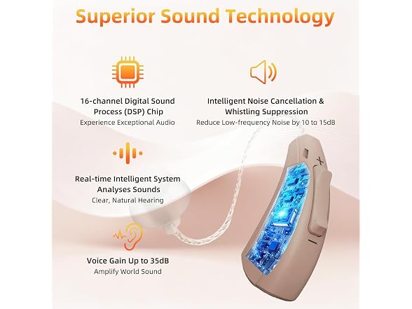 Wellehomi NS614071 hearing aids