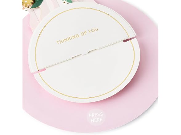 Hallmark Paper Wonder Spinning Pop-Up