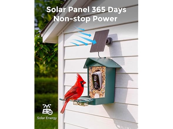 Devo Solar Smart Bird Feeder