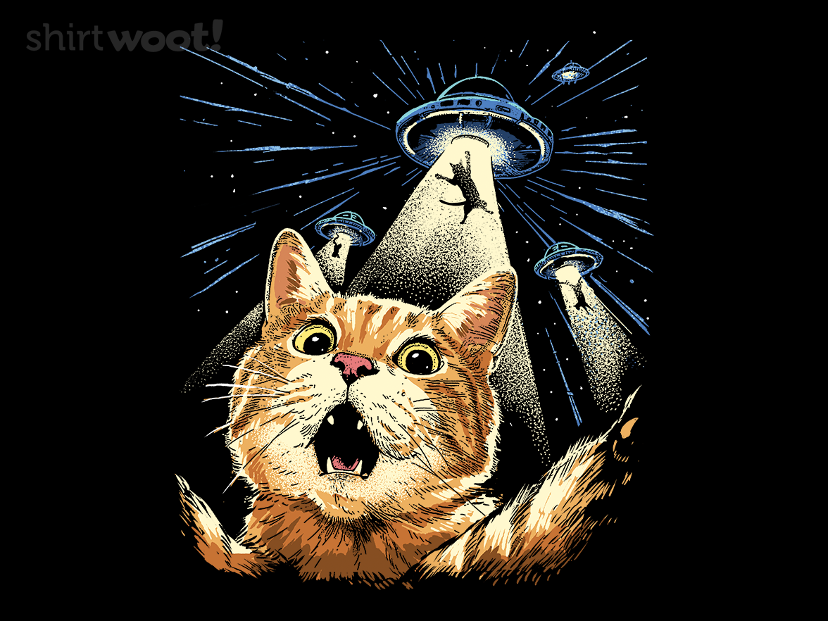 The Purrr-fect Abduction - Gallery 4