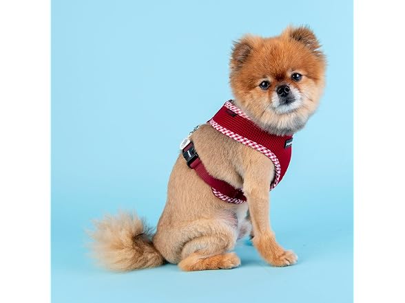 Puppia Vivien Check Dog Harness A, Medium