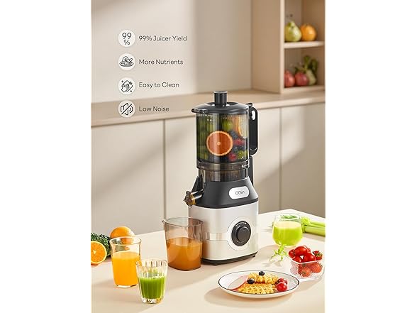 QCen Cold Press Juicer