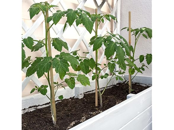 BOVITRO GAR-09 (2 Pack) 18IN Plant Stakes