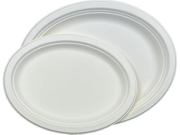 TLAPS 10x8 in White Bagasse Sugarcane Plates 125
