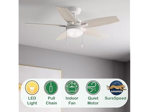 Hunter Fan 52 Inch White Ceiling Fan with Light