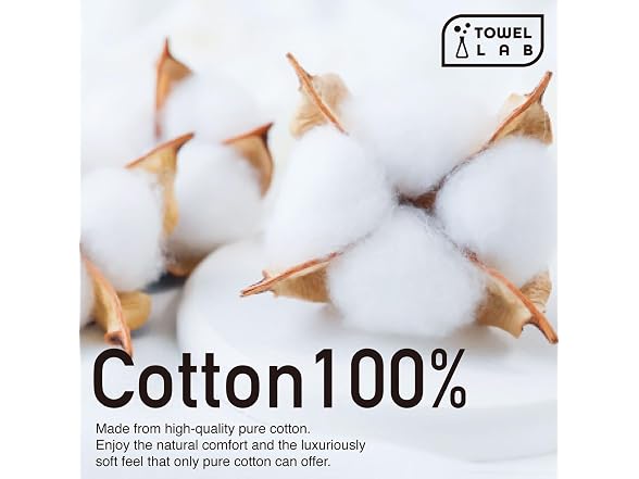 Towel Laboratory Bath Towels Set of 4 [Japan Technology]