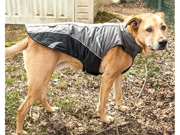 Pet Life ® Altitude-Mountaineer Dog Coat