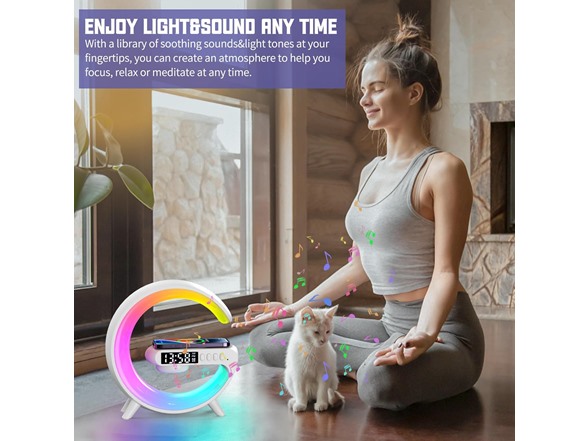 Technical Pro Multifunctional Bluetooth Speaker