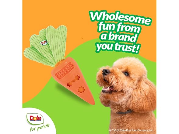 Dole for Pets Dole for Pets Dog Puzzle Toy with