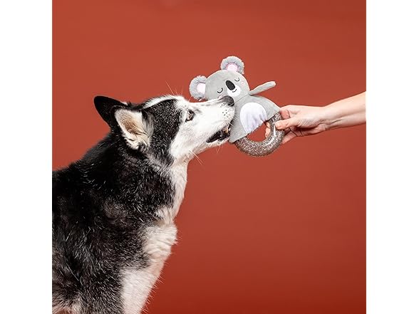 Fringe Studio Rubber Dog Toy, KOAL-ITY Vibe