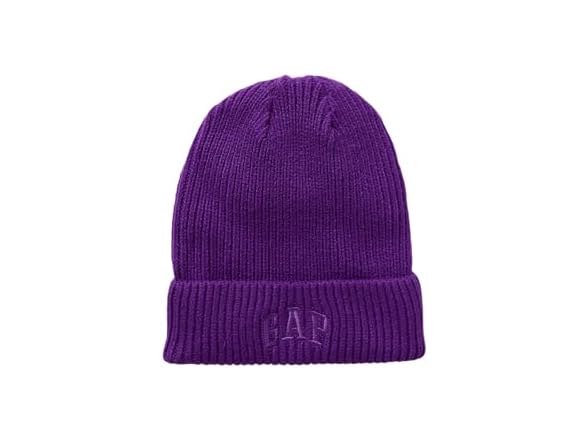 GAP Logo Beanie