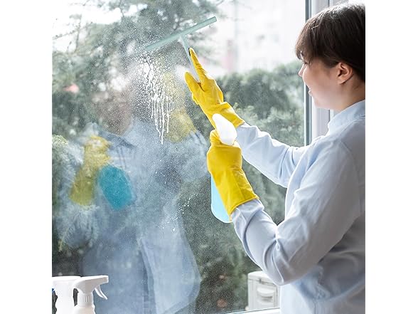 Splash Home Squeegee