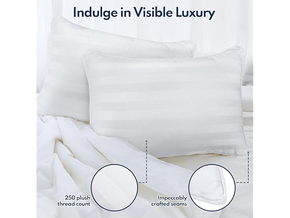 DIORIS Hotel Pillows Queen Set of 2