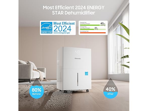 6500 Sq.Ft Glowells Dehumidifier