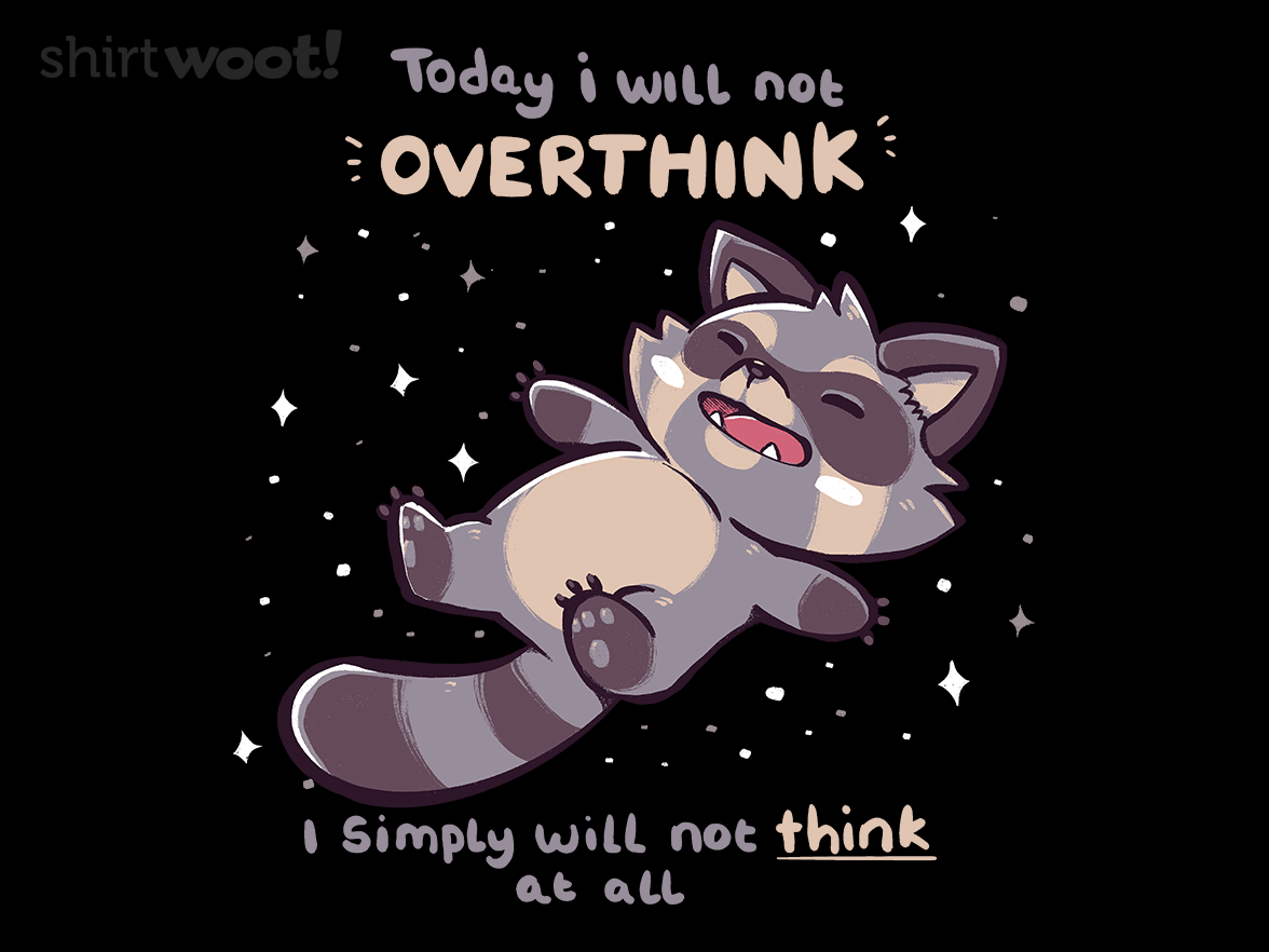No Thoughts Raccoon - Gallery 4