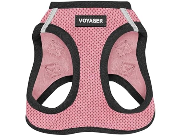 All Weather Mesh No-Pull Harness