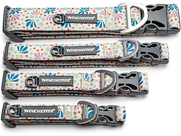 Winchester Printed Designer Dog Collar
