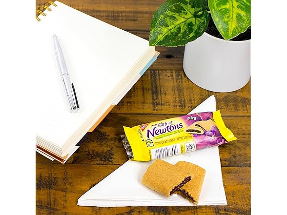Newtons Fig Bars (10pk)